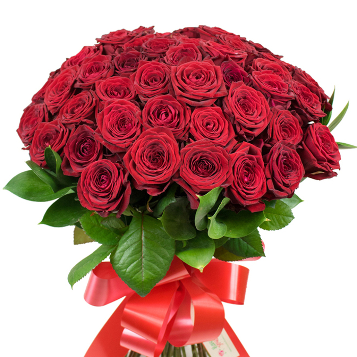 Imagine cradling in your hands a bouquet that embodies the affectionate spirit of Brent Cross-over fifty red roses, meticulously arranged into a showstopping dome by the skilled florists at Brent Cross Flowers. Each flawless bloom is velvet-soft to the touch, its petals spiralling outward in luxurious layers, from the bud's mysterious centre to the fullest blossom. Deep green, glossy leaves frame and support the rich reds, their veins reflecting the robust greenery found near the Brent Cross Shopping Centre. The scene is completed with a wide, red satin ribbon, tied into an extravagant, trailing bow at the neatly bundled base, inviting thoughts of celebration and grandeur. Bright, diffused light dances on the petal edges, casting faint shadows and giving depth and intrigue to every flower. This arrangement is crafted for landmark moments-proposals, anniversaries, or spontaneous declarations of love delivered straight to nearby Neasden or Hendon. Every carefully chosen element-from colour gradients to tactile contrast-coalesces into an expressive gesture that communicates deep emotion, making the act of gifting as memorable as the blooms themselves.