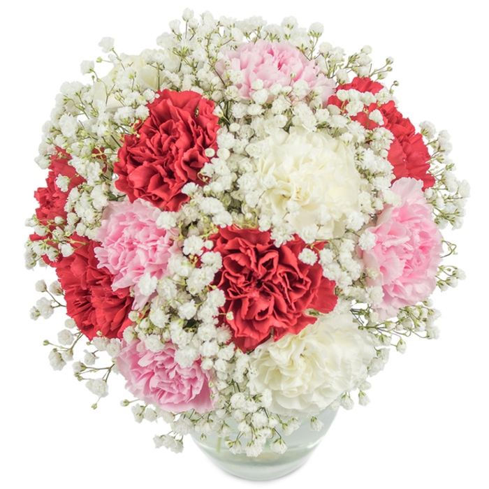 Against a backdrop of pure white, this hand-built bouquet captures the essence of Brent Cross through colour, form, and thoughtful design. Arranged in a rounded glass vase, lush carnations-scarlet red, powdery pink, and rich cream-bloom in fullness, their intricate, frilled petals lending a classic elegance. Airy sprays of delicate baby's breath gently interlace the arrangement, lending a feathery lift that softens and unifies the bold palette. An overhead view displays the bouquet's balanced, spherical contour, every hue evenly spread-a subtle nod to the harmonious diversity of Brent Cross itself. Clear water in the glass vase allows the green stems to show, emphasizing the freshness and vitality of each hand-chosen flower. The lighting is bright and true, enhancing each petal's vibrancy and the intricate detail of the gypsophila. Perfect for moments of celebration or gratitude-whether delivered for a birthday or shared amongst friends near Brent Cross Shopping Centre-this floral display encapsulates a sense of warmth, joy, and the refined artistry of local floristry.