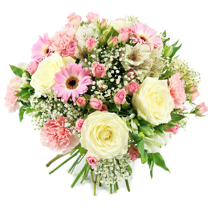 Against a bright white, uncluttered background, this bouquet stands out as a soft, pastel celebration of roses, gerberas, and seasonal blooms, much like a signature design from a local Brent Cross flower studio. Dominating the arrangement are several fully open cream and ivory roses, their petals arranged in intricate spirals that gradually relax toward the edges, suggesting both refinement and openness. Around these central blooms, smaller pink spray roses create a delicate lacework of colour and form, with some buds tightly closed and others just unfurling, evoking a sense of unfolding stories and new chapters. Bold pink gerbera daisies interrupt the pastel palette in the most pleasing way, their neat, radial petals and dark, rounded centres adding a joyful burst of energy. Fluffy pale pink carnations, with their countless ruffled edges, introduce a rich, tactile quality and help give the bouquet its rounded, full silhouette. Elegant white alstroemeria blooms are scattered throughout, each slender petal subtly detailed with fine reddish-brown lines that read like brushstrokes on a canvas. Light sprays of white gypsophila mingle among all the larger flowers, forming tiny, cloud-like clusters that enhance the airy, romantic mood without overwhelming the eye. Glimpses of vibrant green foliage provide contrast and frame the softer tones, grounding the composition in natural freshness. At the base, the stems are neatly aligned and carefully tied, highlighting the handcrafted nature of the piece and its readiness to be gifted or displayed in a Brent Cross home just off the North Circular. The bouquet as a whole conveys affection, appreciation, and quiet celebration, ideal for birthdays, Mother's Day, or simply bringing a touch of floral serenity indoors.