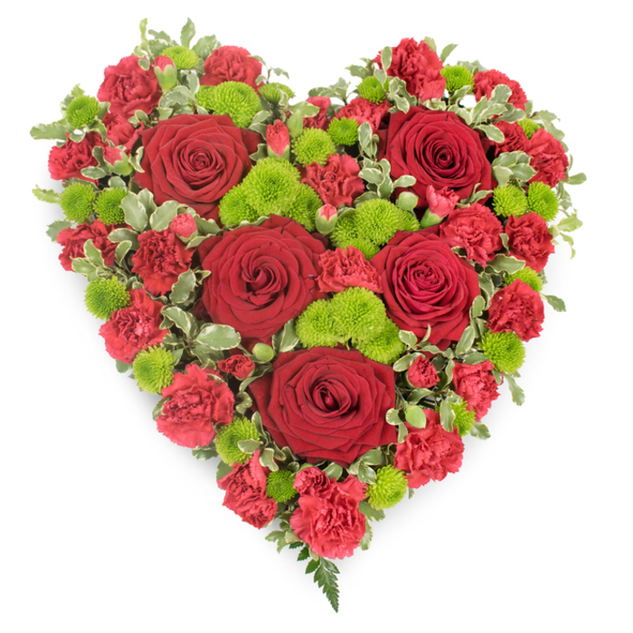 A dramatic heart-shaped floral arrangement is shown against a bright white background, its vivid reds and fresh greens forming a powerful visual symbol. The heart is fully and densely covered in flowers, with several large red roses placed across its surface. These roses appear velvety and luxurious, their petals tightly coiled at the centre and gradually unfurling towards the outer edges, giving a sense of both strength and vulnerability. Around them, rich red carnations and mini carnations are clustered closely together, each frilled petal catching the light and creating intricate shadows that enhance the design's depth. Interspersed between the red blooms, bright lime-green button chrysanthemums stand out, their round, button-like heads introducing a lively burst of colour that feels almost luminous against the darker hues. Framing the outer edge and subtly weaving within the heart, small sprigs of variegated pittosporum foliage, with their soft green centres and pale cream margins, help to define the silhouette and soften transitions between flowers. At the lower point of the heart, a few delicate fern fronds extend gracefully beyond the blooms, adding a gentle, natural flourish reminiscent of greenery glimpsed in local Brent Cross parks. The overall mood is one of heartfelt tribute-a design that could rest beside a casket, be displayed at a memorial gathering, or be placed lovingly at a graveside. Prepared for families in and around Brent Cross, this floral heart speaks of unwavering love, gratitude, and remembrance, offering a comforting, beautiful presence during times of loss when emotions run deep and words may be hard to find.
