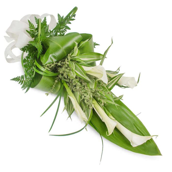 A refined, elongated floral composition is displayed on a stark white ground, its lines drawn from the top-left corner sweeping gently to the bottom-right, where the arrangement tapers into a calm point. Creamy white Calla Lilies dominate the scene, their sculptural trumpets offering a sense of purity and quiet strength; some blooms open to reveal their inner curve while others hold a tighter, more contemplative form. The lilies rest within a selection of lush foliage: large, glossy emerald leaves create a solid, protective base and are expertly folded to add volume and architectural interest. Variegated leaves - striped in white and lighter green - thread brightness through the centre, while feathery fern fronds and slender, blade-like grasses provide delicate texture and a soft, woodland scent. Tiny clusters of light green sprigs act as gentle fillers, making the transitions between bold forms feel organic and tender. Anchoring the wider end of the bouquet, a textured off-white bow, likely linen or burlap, introduces a handcrafted, tactile touch that balances the lilies' smoothness. The overall mood is serene and dignified, equally appropriate for a modern wedding with minimalist intent or as a tasteful sympathy tribute. As a Brent Cross florist familiar with settings from the shopping centre to the quiet lanes near Gladstone Park, I favour this palette when a client requests understated elegance and a composition that communicates solace, poise, and thoughtful simplicity.