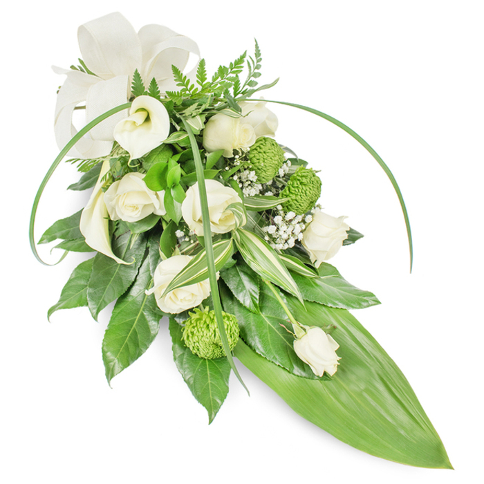 This long, cascading sympathy spray, photographed on a white background, balances classic floral tradition with fresh, contemporary touches in a palette of soft whites and vibrant greens. Several creamy white roses, some fully open with curled, velvety petals and others kept as tighter buds, form the emotional centre, while a pair of pristine white Calla lilies at the upper left lend architectural clarity with their trumpet-shaped blooms. Bright lime-green button chrysanthemums are dotted throughout, their compact, textured heads offering an unexpected, lively contrast that enlivens the otherwise tranquil composition. Delicate clusters of tiny white baby's breath float among the blooms, providing an ethereal, cloud-like softness that tempers the stronger shapes. The foliage has been layered with care: glossy deep-green leaves build a lush foundation, variegated leaves with subtle white markings add visual depth, and feathery fern fronds crown the top with a woodland whisper. Two long, arcing blades of vivid green foliage sweep across the design, introducing graceful motion, while the whole arrangement narrows into a prominent, broad bright green tropical leaf that creates a sleek, tapered tail. A wide, cream-coloured fabric bow at the top-left adds a formal, comforting note, its matte texture contrasted by the glossy leaves. This spray's measured proportions and understated colour story make it especially fitting for funeral services, memorials, or quiet condolence gestures around Brent Cross - for instance, for families visiting nearby chapels or laying flowers at local cemeteries - where a calm, dignified floral tribute is desired.