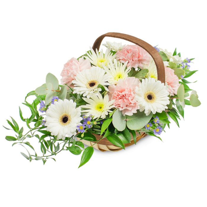 A tasteful, full-bodied floral basket laid out against a pristine white backdrop, combining delicate pastels with verdant greens to produce an understated, timeless presentation. The centerpiece comprises several large white Gerbera daisies-each with a dramatic, dark brown-to-black centre that provides a bold visual counterpoint to the pale petals-surrounded by clusters of pale pink carnations whose ruffled layers give the arrangement a soft, pillowy volume. Interspersed throughout are many small daisy-like blooms in pure white and soft yellow, resembling spray chrysanthemums, that contribute a cheerful density and brighten the overall silhouette. Small violet-blue star-shaped accent flowers are scattered through the spray, adding cool, discreet pops of colour that draw the eye into the composition's depths. The foliage enhances both scent and shape: round, silvery eucalyptus leaves add a modern, calming note and various shiny green leaves, including ruscus, extend and trail especially to the left, creating a graceful, flowing profile beyond the basket's edge. All of these blooms are set into a light-toned, handwoven wicker or willow basket with a pronounced arching wooden handle, whose textured weave and warm hue lend a handcrafted, reassuring character. The lighting is bright and even, revealing petal texture and leaf sheen and making the display feel fresh and alive. This arrangement is ideal as a comforting tribute or a tasteful centerpiece for events in and around Brent Cross, perfect for sending to friends or family in Cricklewood, Dollis Hill or nearby neighbourhoods to convey sympathy, gratitude or quiet celebration.
