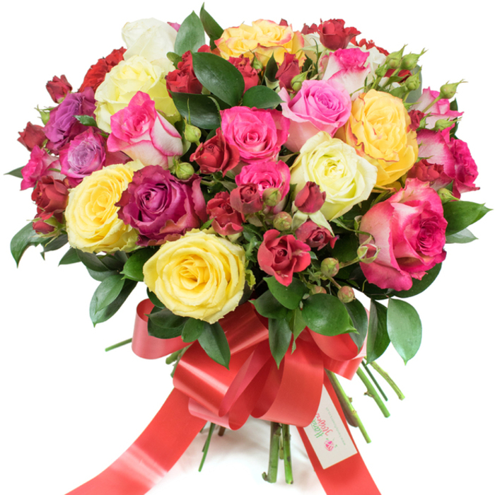 An opulent, museum-like photograph of a hand-tied rose bouquet arranged against pure white, described in rich, tactile detail by an experienced florist. The arrangement reads as a full, rounded spray: cheerful bright yellow roses punctuate the mass of blooms, while delicate creamy white or pale yellow roses lend softness. Across the dome, pinks move from soft pastel blush through mid-pink to intense fuchsia, and several bicoloured roses show lighter edges against deeper centres. Deep burgundy and true red roses - some in clusters of smaller spray roses - provide dramatic depth and a sense of romantic weight. The florist's craft is evident in the mix of large hybrid tea roses, smaller clustered spray roses and tight buds, offering layered texture and a feeling of abundance and careful proportion. Glossy green foliage, likely ruscus or salal, is woven throughout the heads to give structure and to make the colours sing against the white field. The stems are neatly gathered and secured with a wide, bright red satin ribbon tied into an elegant bow whose tails flow downward; a small white tag inscribed with Happy Holidays nestles at the knot, hinting at seasonal gifting. Imagined in soft studio light, the petals show satiny sheen and subtle shadowing; the bouquet's fragrance is clean with a faint citrus lift. This sumptuous composition suggests celebration - perfect as an anniversary, birthday, Valentine's or Mother's Day gift - and would be equally at home on a Brent Cross kitchen table or as a centerpiece at a neighbourhood gathering near the shopping centre.