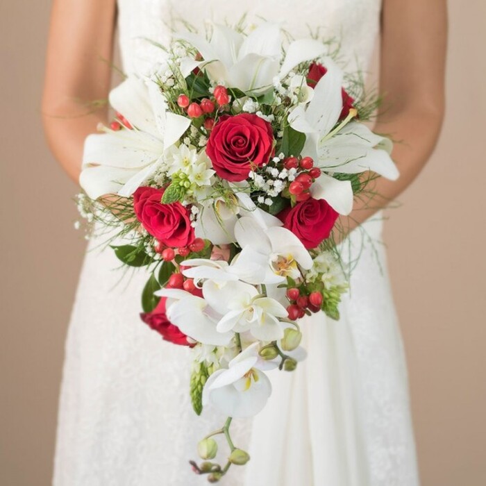 Against a calming, sand-hued backdrop, evocative of venue interiors around Brent Cross, a bride's torso and lace-detailed arms cradle an extraordinary, cascading bouquet designed to steal the show. The arrangement's depth and elegance are immediately apparent in the wide-open blossoms of white lilies, their sculptural petals gleaming in the soft indoor light, and the streams of white phalaenopsis orchids that tumble towards the hem of her gown. Touches of Brent Cross personality shine through lush, rich red roses strategically placed for maximal colour impact, their velvety texture contrasting beautifully with the bouquet's prevailing whites. Small, bright red hypericum berries cluster among clouds of airy baby's breath, creating playful notes and extra dimension within the composition. The fresh greens, from featherlike asparagus fern to sturdier leaves, provide a lush anchor, recalling local parkways and tree-lined avenues. Occasional spiky elements peek through the blooms, lending structure and a hint of contemporary flair. The bride's gown, a vision in smooth white lace, and her tranquil pose heighten the sense of romance. Every detail, from the tumbling orchids to the careful placement of each berry, expresses the artistry and care synonymous with Brent Cross Flowers. Perfect for marking a wedding day or a special event at a local synagogue or community centre, this bouquet reflects both time-honoured tradition and modern London style.