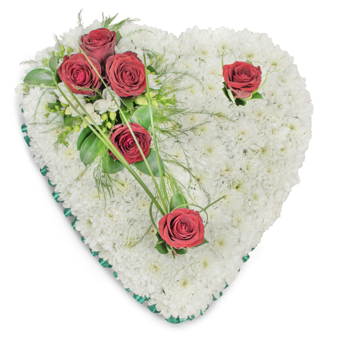 A carefully composed, heart-shaped sympathy wreath set against a white backdrop, the entire heart densely covered with hundreds of small white chrysanthemums to create a plush, even surface that feels both tactile and serene. The lighting is soft and slightly overhead, accentuating the chrysanthemums' rounded textures and casting delicate shadows that define the heart's gentle contours. On the upper left, a prominent cluster of three deep red, fully opened roses provides a focal point amid glossy green foliage, including broad leaves, fern-like fronds, and thin, arching bear grass blades that elongate the composition. Two further red roses are deliberately placed to the top-right curve and the lower point, each accompanied by minimal greenery and small white filler flowers - possibly freesias - that add quiet highlights without disrupting the formal balance. A narrow emerald satin ribbon trims the heart's edge, giving a precise boundary and a touch of solemn elegance. The overall colour story - pure white cushion, rich crimson accents and vivid greens - is traditional and dignified, conveying love, remembrance and respect. As practiced florists at Brent Cross Flowers, serving the Brent Cross and Golders Green communities, we arrange pieces like this for funerals and remembrance services; the design is intended to sit beside a casket or at a graveside with subtle scent and reassuring calm. Its craftsmanship and local sensibility make it a respectable, enduring tribute for those honouring a beloved neighbour or family member.