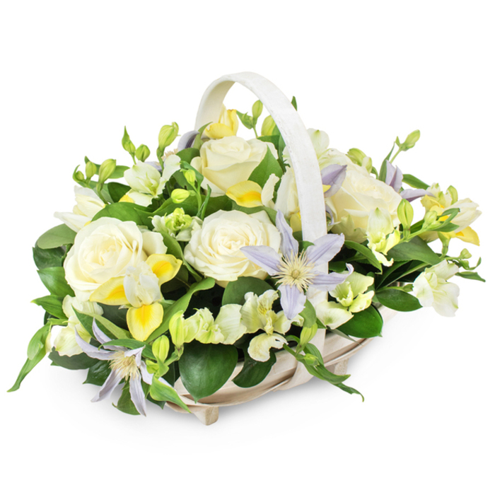This photograph shows a graceful sympathy basket that carries an air of quiet composure, much like the calm you might feel walking through a peaceful corner of Brent Cross early in the morning. The basket is made from light, natural wicker, its surface smooth and gently textured, in a soft beige or off-white shade that blends effortlessly with the surrounding flowers. Its shape is an elongated oval or rectangle, with a sturdy handle arching in a gentle curve over the top, framing the blooms like a protective halo. Inside, the arrangement rises in a soft dome, carefully filled so that the flowers appear to be gently resting against one another. At the heart of this design, creamy white roses unfurl fully open, their velvety petals layered into perfect rosettes that speak of purity, remembrance, and love. Interwoven among them, star-like clematis flowers in pale lavender and periwinkle punctuate the arrangement, each with a luminous yellow-green centre that adds a subtle gleam. Clusters of small, white and pastel yellow freesia-like blossoms nestle between the larger blooms, some already blooming, others still in bud, contributing texture and the suggestion of a delicate, fresh fragrance. Fine yellow highlights are scattered here and there, adding warmth while keeping the overall mood restrained and serene. All the flowers are framed and supported by abundant, glossy green foliage, with broad leaves providing structure at the base and airy green sprigs offering lightness and movement. Set against a clean white backdrop, the colours remain cool, luminous, and calming. This arrangement feels ideal for sending a message of sympathy or remembrance to families around Brent Cross, Cricklewood, or along Hendon Way, offering a gentle, living tribute crafted by local florists who understand the importance of quiet, respectful beauty at a time of loss.