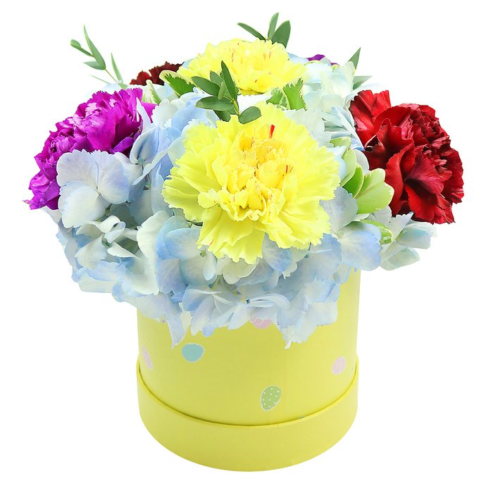 A lush, dome-shaped arrangement fills a round pastel-yellow flower box, photographed on a clean white backdrop so the composition reads clearly and crisply. Two large, lemon-yellow carnations dominate the centre, their ruffled edges and layered petals offering both volume and a cheerful focal point. Surrounding them, clusters of soft periwinkle hydrangea form a cool, textured base: tiny florets coalesce into a billowy mass with subtle gradations of blue and hints of near-white at the petal tips. On the left a saturated magenta carnation gives a pop of vivid colour, while a deep burgundy-crimson carnation on the right provides visual weight and a velvety contrast. Intermittent sprigs of bright green foliage peek through the blooms, adding linear texture and a sense of freshness that prevents the arrangement from feeling too formal. The cylindrical paperboard box - a gentle lime-yellow - is whimsically decorated with irregular pastel polka dots in soft blues, pinks and pale greens, some flecked with tiny white speckles; that playful detail complements the floral palette and alludes to spring celebrations such as birthdays, baby showers or Easter. The overall presentation reads as a compact, ready-to-give gift that would suit delivery across Brent Cross, Golders Green and nearby Hendon, arriving as a polished, joyful statement that blends colour, texture and scent in a single decorative package.