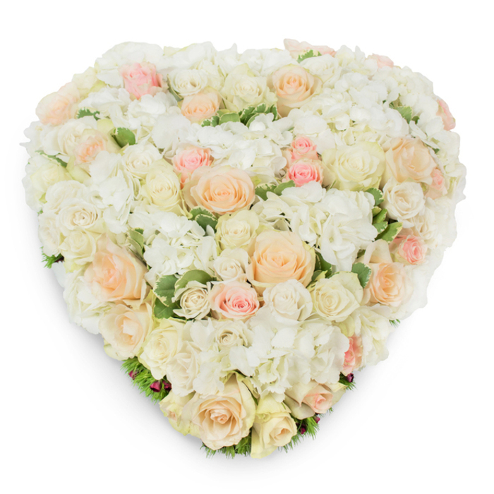 A meticulously handcrafted heart-shaped floral piece rests on a pure white background, photographed from a slightly elevated perspective to reveal its lush depth and precise shape. The design centers on a profusion of roses in varying development-tight buds nestling beside wide, open blossoms-in a palette that moves serenely from pristine white and warm cream to pale peach and gentle blush pink. These roses are elegantly threaded through generous clusters of white hydrangea, whose tiny, multi-petalled florets form a soft, voluminous foundation and create a cloud-like contrast to the roses' satin petals. Between the blooms, deep green variegated leaves peek out, offering a crisp, cooling counterpoint and tracing the lower edges of the heart with natural accents. The composition casts a soft shadow on the white plane, subtly communicating three-dimensional form and the careful hand that built it. The overall effect is one of dignified tenderness-a floral language of remembrance, intimate love, or serene celebration. Locally, customers placing sympathy orders from Brent Cross Flowers often choose this style when arranging tributes for services at nearby chapels or when families request a design that reads as both luxurious and consoling. Its scent is implied as clean and floral, the roses' sweetness tempered by fresh green notes, making it equally suitable for weddings, anniversaries, or commemorative ceremonies where a quiet, heartfelt presence is desired.
