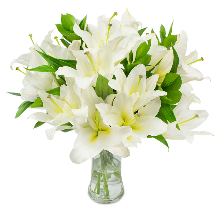 This image presents a lush, carefully constructed bouquet of white lilies, densely grouped in a clear, classic glass vase and photographed on a spotless white backdrop so the flowers' sculptural beauty is the sole focus. Each lily displays multiple wide, silky petals that open into elegant trumpets, their surface a pristine white that gently graduates to a soft cream or pale yellow at the throat-a subtle warmth within each blossom. Fine stamens project from several open blooms, their pale greenish-yellow filaments tipped with natural brown anthers that provide a tactile, botanical accent against the luminous petals. Throughout the arrangement, abundant, deep green leaves-long, pointed and glossy-thread between the flowers, giving the bouquet a full, verdant silhouette and balancing the delicate whiteness with organic structure. The transparent vase exposes the trimmed green stems descending into clean water, the clarity reinforcing the flowers' freshness and the meticulous craftsmanship behind the styling. Under soft, studio lighting the petals appear almost translucent at the edges, and one can almost sense the lilies' gentle fragrance drifting outward-a quiet, reassuring scent suited to reflective moments. This composition conveys dignity and peace and could be chosen for elegant home décor, a thoughtful sympathy arrangement, or a refined gift for someone marking a milestone. Local to Brent Cross, the bouquet evokes mornings in nearby parks or the calm corridors of the shopping centre-an understated floral presence that brings serenity to any local address.