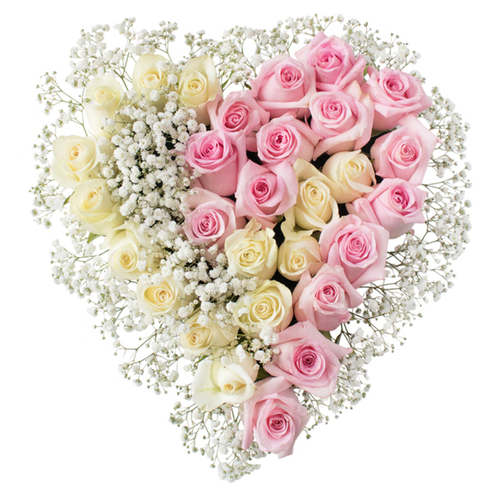 A beautifully balanced, heart-shaped floral display fills the frame, shown against a pure white background that highlights every nuance of colour and form. This arrangement, suited to a funeral or memorial service in Brent Cross, is crafted with two distinct yet harmonious halves of roses. On the left, a thick cluster of creamy white and very pale yellow roses forms a luminous, peaceful panel. Each bloom is perfectly formed, layered with soft, velvety petals that curl gently outward, creating a sense of serenity and reverence. On the right, an equally dense section of pink roses offers a more intimate, emotional tone. These roses range from delicate blush to richer medium pink, their open faces evoking love, gratitude, and fond recollection-moments of conversation, shared meals, and everyday routines that made a life special. The two sides meet in a clean, vertical seam down the heart's centre, a line that feels symbolic of the meeting point between farewell and enduring memory. Threading throughout the entire design are plentiful stems of white baby's breath, or gypsophila. Their minute blossoms form airy clusters that rest between the larger roses and continue around the perimeter, tracing the heart's edges like a fine lace trim. This cloud-like border softens the outline, adding depth and a gentle, ethereal quality, as though the flowers are surrounded by a halo. The arrangement looks as if it has been thoughtfully created by Brent Cross Flowers, with the precision and sensitivity you would expect from local florists preparing tributes for nearby chapels and crematoria. The overall feeling is of quiet elegance and heartfelt emotion, a floral heart that offers comfort, honour, and a tender final message to someone dearly missed.