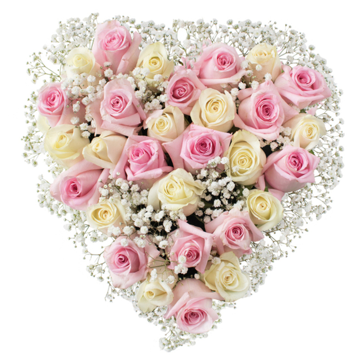 At the heart of this floral creation, designed for those in and around Brent Cross, sits an impeccably structured heart-shaped bouquet overflowing with meaning and fresh vibrancy. The centerpiece showcases approximately thirty roses-blush pinks blending seamlessly with creamy whites, with petals that spiral outward in lush, velvety swathes. Each individual rose ranges from a gentle blush to a pale yellow-tinged cream, capturing the nuanced colours of a Brent Cross spring morning. Interlaced among the roses, tufts of delicate white baby's breath add fullness, brightness, and a gentle, cloudlike softness. The bouquet's palette is illuminated by soft, even light, standing out against an immaculate white background and enhancing every subtle hue. The floral heart is precisely symmetrical, with every petal and sprig placed as a tribute to love, affection, and lasting memories. Crafted with accomplished care by Brent Cross Flowers, this arrangement is ideal for honouring cherished family, comforting loved ones, or celebrating milestones like anniversaries and Mother's Day within the NW2 community. The classic beauty and inviting serenity of the heart-shaped design speak to the traditions of Brent Cross while offering a soothing visual narrative, perfect for funeral tributes or heartfelt tokens.