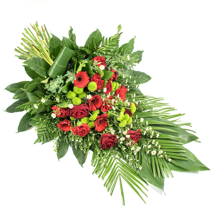 This image presents a long, elegant funeral spray on a white background, its shape flowing from a structured, taller top left to a narrower, gently pointed lower right. The design is anchored by a lush, central cluster of deep red blooms: velvety roses, some fully open, others only partly unfurled, are interwoven with red gerbera daisies whose darker centres draw the eye inward, and ruffled red carnations that add a soft, full texture. Together they form a richly coloured heart to the tribute, conveying deep affection, respect, and solemn remembrance. Scattered among these crimson flowers, vivid lime green chrysanthemum pompons stand out, their small, button-like heads adding a contemporary twist and a sense of vitality. Small white filler flowers, reminiscent of gypsophila or tiny meadow daisies, are lightly sprinkled through the design, bringing airiness and gentle highlights that balance the stronger tones. Enveloping the flowers is a generous foundation of mixed greenery: large, glossy salal leaves provide a solid, dark green backdrop, while feathery leatherleaf fern and other textured foliage soften the edges and hint at gentle movement. At the lower right of the spray, several long, broad green leaves fan outward gracefully, reinforcing the elongated line and helping to frame the arrangement. At the upper left, a tight bundle of tall, straight green stems or leaves rises vertically, with one broad leaf wrapped securely and elegantly around them, creating a refined, modern accent and adding height. In the context of Brent Cross, this kind of composed spray would feel perfectly placed on a casket in a local chapel, at a crematorium service, or as a main tribute at a memorial gathering, offering a dignified, beautifully balanced expression of sympathy and farewell.