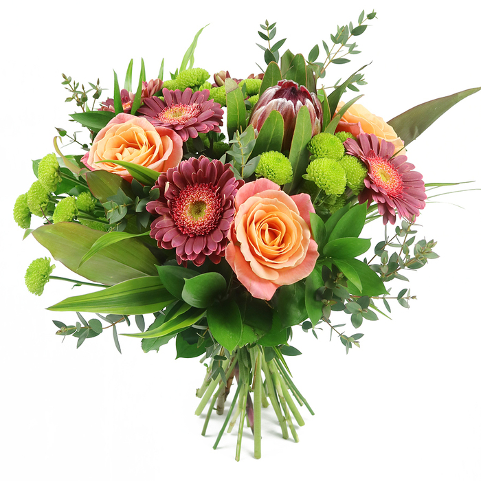 Set against a pristine white background, this generously proportioned hand-tied bouquet is composed with the balanced precision of an experienced Brent Cross florist. The central focus is a collection of plush roses in shades of peach, coral, and gentle salmon pink, each bloom at that perfect stage where the petals are fully unfurling yet still hold their cupped, romantic form. Some petals are tipped with a soft cream that gradually deepens to a warm, almost golden-orange heart, suggesting both tenderness and quiet optimism. Interwoven with the roses are striking Gerbera daisies in deep fuchsia and velvety burgundy, their daisy-like faces and slightly darker central disks adding clear lines and confident colour to the blend. Near the upper portion of the bouquet, a large King Protea commands attention, its robust, overlapping bracts shaded in reddish-brown and dusty mauve, with slightly pointed tips that give the design an artful, sculptural quality popular in modern London floristry. Dotting the spaces between the larger flowers, vivid lime-green Santini chrysanthemums form clusters of small, rounded pom-poms, injecting fresh energy and lifting the whole colour palette. Encircling these blooms is a generous assortment of foliage: broad, glossy leaves provide weight and structure, while long, slender blades add height and rhythm, and rounded eucalyptus leaves in a silvery green bring a soft, aromatic note. The stems are neatly aligned and bound at the base in a classic hand-tied style, ready to be dropped straight into a favourite vase in a Brent Cross flat or townhouse. The bouquet radiates joyful abundance and contemporary elegance, suitable for birthdays, congratulations, or simply sending a bright burst of colour with local flower delivery.