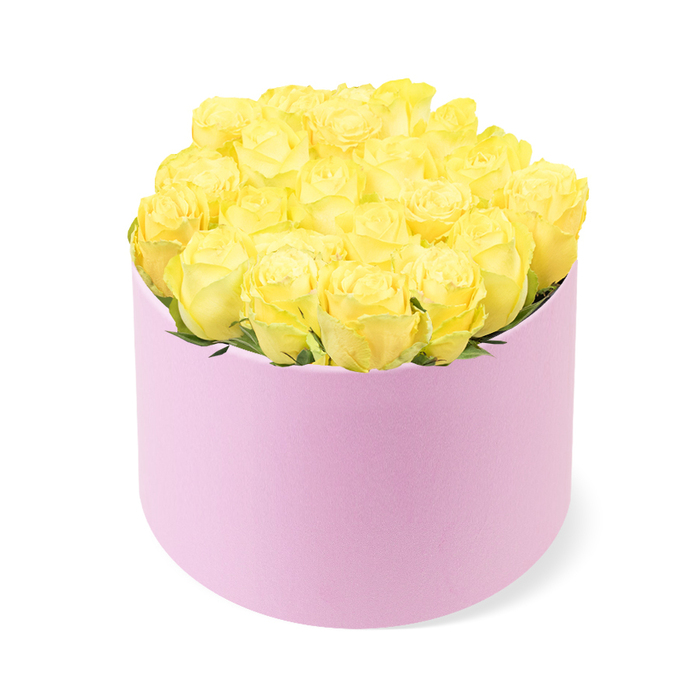 A sophisticated floral hatbox design is captured in a minimal, studio-style image: a cylindrical pastel pink box completely filled with vibrant yellow roses and set against a flawless white background. The box has clean lines and a matte finish that conjures the impression of velvet or brushed suede, giving it a tactile, luxurious presence even without physically touching it. From this soft pink base, a dense cluster of around two dozen roses emerges, crafted into a gentle dome that just spills over the rim, suggesting abundance without any sense of excess. Each bloom is fresh and full, with velvety petals coiled tightly at the centre and gradually unfurling into broader, softer curves at the edges. The yellow shades within the roses shift subtly, reminiscent of early morning light over Brent Cross - pale and creamy near the core, deepening into a more saturated sunlight hue towards the outer petals. Tiny pockets of deep green foliage are tucked between select blossoms, mostly hidden but perceptible enough to add depth and a touch of natural contrast to the composition. Illuminated with even, diffused light, the entire arrangement has a polished, modern character, with the white background keeping the focus firmly on the interplay of colour and form. It is easy to imagine this hatbox being carried through the bustling Brent Cross Shopping Centre as a surprise gift, or placed on a dining table in a home off Hendon Way, marking occasions like anniversaries, thank-you gestures, or warm welcomes to a new home. The piece expresses friendship, joy, and sophisticated thoughtfulness in one carefully balanced design.