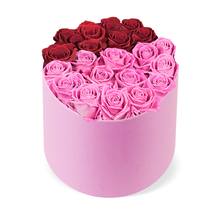 A luxurious and elegant floral arrangement sits in a distinctive D-shaped or semi-cylindrical hatbox, a hallmark of a premium gifting range offered by a local Brent Cross florist. The container itself is a soft, velvet-pink shade, its curved front contrasting with a flatter back to give the piece a sculptural silhouette. The top opening is densely packed with tightly bloomed rose heads, filling the box with colour and texture from edge to edge. The roses are deliberately divided into two striking blocks: the upper rear section features about a dozen deep crimson roses, a classic symbol of romance and passion, while the larger, front section is filled with a generous cluster of vivid fuchsia-pink roses, delivering a bright, contemporary energy. Each bloom appears flawlessly opened, petals layered in neat spirals with no visible foliage interrupting the surface. Photographed from a slightly elevated angle against a clean white background, the arrangement reads as both architectural and intimate, a luxury gift designed to transform a room. This high-quality rose box is ideal for special occasions such as Valentine's Day, anniversaries, birthdays, or Mother's Day, sending a message of refined affection and enduring quality. It also serves as an elegant centerpiece for upscale interiors, from a dining room to a hotel lobby, when paired with soft lighting. The local delivery service across Brent Cross and nearby neighborhoods ensures freshness, reliable service, and a polished presentation that signals thoughtful gifting and local expertise.