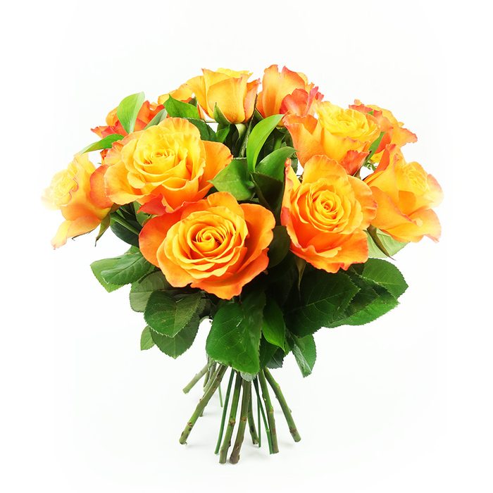A richly coloured bouquet of roses fills the frame, carefully composed against a crisp white background that amplifies every nuance of yellow and orange. Around a dozen roses are gathered into a generous, dome-shaped cluster, each bloom open wide in its prime. The petals at the heart of each flower are a clear, bright yellow, gradually shading into honeyed gold, then into warm mandarin and rich orange toward the outer edges, with some petals showing a subtle red-orange halo, recalling a fiery sunset glimpsed from the bridges near Brent Cross. The texture of the petals appears soft and velvety, their edges lightly rippled, giving the bouquet a sense of movement and softness even though it has been expertly fixed into a neat shape. Between the blossoms, deep green leaves with a smooth, glossy surface weave through the arrangement, adding contrast and helping to hold the roses in place, much as the green verges and small parks break up the flow of roads around the shopping centre and nearby Hendon. The stems below are visibly straight and sturdy, gathered into an orderly bundle that suggests recent cutting and careful preparation, as if ready for wrapping and same-day delivery to a home or office in Brent Cross. The lighting is bright and even, without harsh shadows, so the colours appear true and intense. Overall, the bouquet radiates warmth, generosity, and a sense of happy occasion-ideal for marking a milestone birthday, celebrating a promotion, or simply bringing a golden splash of floral brightness to a living room overlooking the busy North Circular Road.