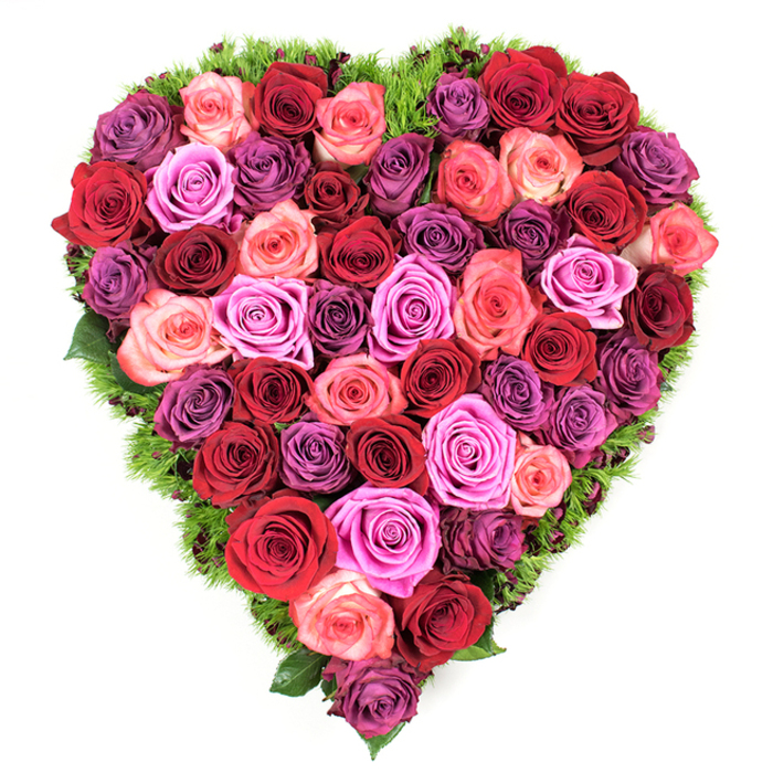 A perfectly symmetrical heart assembled from a dense mosaic of fully open roses fills the frame, presented on a clean white background so every colour and curve reads clearly. The design moves from the most saturated tones-deep crimson, rich burgundy and classic red-through softer blush and coral pinks, into bolder streaks of fuchsia and magenta. Subtle, cooler notes of lavender, mauve and plum are interspersed to add depth and a quiet, reflective complexity. Each rose head is at its peak, petals soft and velvety with slightly furled centers; the blooms are tightly packed edge to edge, giving the heart a lush, almost cushion-like topography. A delicate, narrow band of fine dark green foliage, reminiscent of maidenhair fern or moss, traces the outer edge and slips between some petals, offering a fresh, leaf-scented contrast and neatly defining the silhouette.
The arrangement conveys both exuberant devotion and gentle consolation: the layered colours and tactile density suggest passion and tenderness, while the green border whispers renewal and quiet hope. From the overhead viewpoint the patterning of hues becomes intentional and rhythmic, revealing the florist's hand in balancing warm and cool, light and shadow. Light caresses the petals to reveal satiny highlights and soft shading, and one can almost sense the faint, clean fragrance of freshly cut roses.
In the Brent Cross neighbourhood this type of heart-shaped rose piece is chosen for occasions that require a clear, heartfelt message-be it a romantic declaration on Valentine's, a loving anniversary gift, or a dignified memorial at a funeral. The arrangement's craftsmanship and textural richness make it a memorable emblem of affection, remembrance, and enduring care.
