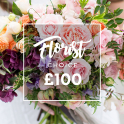 A lush, expert hand-tied bouquet presented in soft, natural light that highlights layered textures and a refined colour story of blush, peach and deep plum. At the heart of the arrangement are large garden roses in shades of pale pink, their dense, ruffled petals opening like miniature peonies and exuding the impression of warmth and scent. Interspersed are deep plum hellebore-like flowers that give the composition a velvety depth, while delicate, almost striped pale purple-and-white sweet peas drift through the arrangement with an inviting, petal-thin fragility. Warm coral and peach ranunculus-style blooms punctuate the palette, and small creamy white flowers act as luminous highlights that lift the overall tone. The foliage is generous and varied-sleek vines, softly textured leaves and airy greenery that frame each bloom and create a relaxed, garden-picked silhouette. Over the bouquet, a clean white rectangular graphic overlays the image: elegant script declaring "Florist Choice," with a smaller uppercase "CHOICE" beneath and a large, bold "?100" in sans-serif at the bottom, framed by a thin square line that makes the price and bespoke nature unmistakable. A pair of hands, wrapped in a pale sleeve, cradle the trimmed stems at the base, reinforcing care and craftsmanship. The photo conveys a sense of bespoke attention and seasonal abundance-a perfect choice for birthdays, heartfelt congratulations or a refined sympathy tribute-and reads as a premium florist selection available for delivery across Brent Cross, Cricklewood and surrounding neighbourhoods.