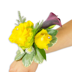 This wrist corsage is presented like a tiny statement of sunshine and midnight, arranged on a light-skinned forearm and set against a clean white studio backdrop that makes every hue sing. Two golden-yellow roses form the focal duet - one more open and radiant on the left, the other slightly cupped and intimate to its right - their petals layered with a soft satin sheen and the faint suggestion of rose scent. Each rose is dressed with a single, clear crystal stud tucked near the heart, catching glints of light as the wrist would move. Behind them, a lone mini calla lily unfurls in a deep burgundy-purple, its smooth, waxy curve creating a bold sculptural line that contrasts with the roses' ruffled warmth. Around and beneath the flowers, sprays of asparagus fern offer a fine, feathery texture and breathability, while variegated green leaves edged in cream provide solidity and a vintage garden note. Tiny white button-like fillers - delicate spray mums or baby's-breath-like blooms - are peppered throughout to add softness and fullness. The corsage is angled across the wrist from lower left to centre right, showing how the arrangement sits when worn and how the elements flow together. The overall impression is cheerful yet refined, suitable for a bridesmaid, prom guest, or anyone wanting a piece that balances joyous colour with evening sophistication. Imagined for events across Brent Cross and neighbouring streets, it reads as a handcrafted, wearable flourish that complements both daytime sunshine and dusk-lit receptions.