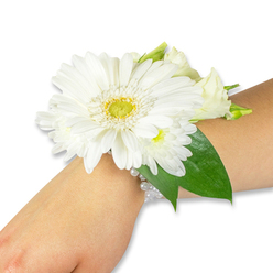 Delicately arranged for a quiet, sophisticated moment, this white floral wrist corsage sits poised on a light-toned forearm against a stark white background. At its centre blooms a striking white Gerbera, each petal smooth and slightly satiny, radiating from a bright lime-yellow and green centre that gives the piece a sunlit focal point. Surrounding the Gerbera are clusters of small, downy white chrysanthemums and creamy lisianthus buds-some barely unfurled-adding soft volume and a petal-to-petal intimacy. Rich, deep green Ruscus leaves fan out behind the flowers, their polish and cool colour providing a restful foil to the vivid whites. The whole cluster is secured with a multi-strand band of luminous faux pearls, strung close and neat so the wearer feels the gentle weight of fresh blooms without bulk. In the filtered studio light the petals appear feather-light and subtly translucent; you can almost sense the quiet, green-sweet scent of cut flowers and the cool brush of petals against skin. Designed with classic formality in mind, this corsage is ideal for weddings, prom evenings, or milestone ceremonies across Brent Cross and nearby Golders Green, and can be prepared with care by Brent Cross Flowers for local delivery when time is short. A keepsake-like accessory, it marries tradition-white for purity and celebration-with comfortable, wearable craftsmanship fit for a meaningful procession or photograph.