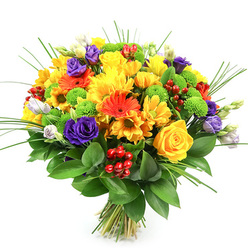 Set against a brilliant white background, this bouquet appears as a vibrant, rounded cloud of colour, expertly designed to lift the mood of any Brent Cross home or office. Yellow blooms form the joyful core: traditional roses with tightly coiled centres sit alongside lush chrysanthemums and smaller daisy-like flowers, all in warm sunshine shades that instantly feel optimistic and welcoming. Threaded through this golden heart are vivid orange gerbera daisies, their familiar open faces and darker discs creating a bold, contemporary feel, while smaller orange blossoms echo their hue and help blend the colours seamlessly. In contrast, deep purple lisianthus blooms nestle like little jewels, their soft, folding petals and subtle curves adding a note of sophistication and romance, further enhanced by a few paler buds that seem poised to open at any moment. Bright lime-green pom-pom chrysanthemums pop up like cheerful buttons, bringing a refreshing, modern twist and a textured, tactile surface that adds depth to the composition. Around them, glossy red hypericum berries cluster in small sprays, their smooth skin catching the light and adding a festive, almost seasonal sparkle. Slender strands of ornamental grass rise from the centre and arc outward, giving the bouquet a sense of movement and airiness, while the base is encircled by broad, dark green foliage that supports and frames the blooms. Beneath, the stems are neatly tied, ready to be placed in a vase on a kitchen table near Brent Cross station or sent as a surprise to a colleague working in nearby offices along the North Circular. The overall impression is one of abundant joy, warmth, and spirited elegance, making this arrangement ideal for birthdays, thank-you gifts, or everyday celebrations.