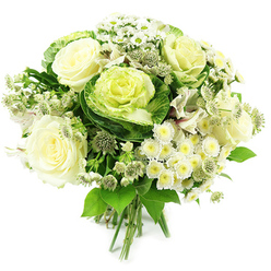 A luxurious, garden-inspired bouquet in a cool white and green palette is shown against a crisp white background, as if just finished on the workbench at Brent Cross Flowers and placed down for a moment of quiet admiration. At the center are full-bloomed ivory and creamy white roses, their soft petals opening generously to reveal layered, cup-shaped centers that speak of classic romance and gentle perfume. Nestled among them, ornamental cabbages create an eye-catching focal point, their sturdy, rounded rosettes starting in deep, leafy green at the perimeter and unfolding into tightly ruffled, pale green and yellow-green hearts that bring a distinctly modern, botanical feel. Encircling these are delicate clusters of small white chrysanthemums and daisy-like flowers, each tiny bloom with a halo of pristine petals and a soft yellow or green-toned center, adding playful texture and a hint of countryside charm amid the urban streets around Brent Cross and Hendon. Between the rounder shapes, slender stems of starry, greenish-white filler flowers-reminiscent of astrantia-peek through, their intricate, pointed bracts providing subtle detail and depth. Occasional white alstroemeria blossoms with narrow petals and faint internal striping weave gently through the arrangement. The bouquet is framed by a generous collar of mixed foliage, from sleek, glossy leaves to lighter, airier greens, grounding the design and highlighting the contrast between smooth petals and textured greenery. All the stems are neatly gathered and tied at the base, making it an elegant hand-tied design ready to slip into a vase on a coffee table near Brent Cross station. The overall impression is calm, contemporary, and versatile, perfect for weddings, anniversaries, housewarmings, or as a thoughtful sympathy gesture sent to friends and family across Brent Cross and nearby areas such as Golders Green and Cricklewood.