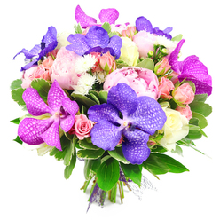 A richly detailed bouquet is displayed against a bright white background, the neutral setting allowing every shade of purple, pink, and green to glow. In the centre, fully opened pink peonies dominate, their generous, cushion-like blooms made from countless soft petals that fold and ruffle into one another, giving a sense of lush abundance. Woven between them are striking Vanda orchids, their petals wide and velvety, coloured in deep violet and radiant fuchsia with fine, lace-like veining that brings a contemporary, almost artistic quality to the arrangement. Surrounding these statement flowers are clusters of petite spray roses in delicate pink, hints of peach, and creamy white; some appear as tight little buds, while others show swirling centres just beginning to open, adding rhythm and movement to the design. Tiny white filler flowers, similar to small chrysanthemums, are dotted throughout, their spiky textures and star-shaped blooms providing contrast and an airy lightness. A generous collar of fresh greenery encircles the bouquet, with glossy leaves and layered foliage creating depth and framing the central colours with a cool, natural calm. At the base, the visible stems are drawn together neatly and bound with a purple ribbon, completing the hand-crafted look. The bouquet feels both luxurious and welcoming, like a carefully planned gift from an experienced Brent Cross florist, ideal for marking milestones, sending thank-you wishes, or brightening apartments and offices around Hendon Way, Cricklewood, and the leafy streets near Brent Cross Underground station.