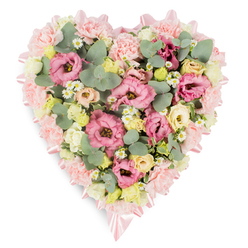 This image shows a generously sized, heart-shaped floral tribute resting on a clean white background, allowing every subtle shade and texture to stand out clearly. The outline of the heart is defined by a thick border of pale blush carnations, their frilled petals overlapping to create a soft, cushioned effect that feels both comforting and embracing. Just inside this floral edge, a satin ribbon in a matching pink hue traces the heart's curves, catching the light in gentle highlights and finishing in simple bows at the top and tapered bottom. Within this frame, the heart is filled to the brim with a carefully balanced blend of blooms. Deep pink and purplish-rose lisianthus blossoms open lavishly, their velvety, layered petals providing structure and depth. Between them sit clusters of creamy yellow and ivory spray roses, their smaller, rounded blooms adding a glow reminiscent of candlelight in a quiet chapel near Brent Cross. Scattered throughout are tiny, white daisy-like flowers with golden centres, bringing an air of natural simplicity and freshness, like wildflowers gathered from a nearby park. Silvery-green eucalyptus leaves, with their distinctive round shapes, weave through the flowers, adding calm, cool tones and a sense of movement, while darker green foliage adds grounding shadows and contrast. The tribute feels serene and reflective, an arrangement you might select for a funeral, wake, or memorial service around Brent Cross, Hendon, or Golders Green. It communicates a message of gentle remembrance and loyal affection, a floral heart that seems to cradle memories with quiet respect and care.