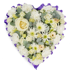 A heart-shaped sympathy spray captured against a pure white backdrop, its gentle palette of whites and creams evoking calm and reverence under soft studio light. The focal point is a single creamy-white rose at the heart of the arrangement, petals tightly spiralled to convey a poised stillness. Around this, layers of lush white carnations build a soft, pillowed core whose ruffled textures cradle the central bloom. Scattered among them, spider chrysanthemums and small button chrysanthemums introduce slender, spidery petals and pale green centres that add delicate definition and quiet vitality. Cream-coloured spray roses and clustered lisianthus buds offer tonal variation and a sense of unfolding memory, while the cool, blue-green leaves of eucalyptus are thoughtfully placed to provide depth, natural contrast and a faint, refreshing scent. The whole heart is edged in a deep lavender-to-purple ruffled ribbon, its scalloped trim framing the florals with a respectful pop of colour that reads dignified from a distance. As a Brent Cross florist I picture this laid at a local church near Cricklewood or delivered to a chapel by the A41 - a piece chosen for funeral services or as a heartfelt expression of condolence. The careful pinning and layering create a balanced silhouette designed to be viewed from the front or the aisle: soothing, composed, and made to honour a memory. There is a softness to the arrangement's textures and a restrained colour story that together speak of peace, consolation, and enduring affection without theatricality.