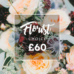 Rendered in an intimate close-up, this bouquet combines classical romance with a touch of wild, contemporary texture. The focal point is a sumptuous, nearly wine-coloured dahlia whose velvety layers draw the eye inward; clustered around it are garden roses in soft peach, cream and pale apricot, their petals unfolding in layered, fragrant rosettes. Interspersed among the lush blooms, spiky, silver-blue eryngium introduce a cool, seaside note and tactile friction against the otherwise soft composition, while small pale green or white hypericum berries add polished pops that catch the light. Eucalyptus stems and varied greenery-some frost-finished, some glossy-fill the gaps and lend a calming, herbal aroma that balances the sweeter rose scent. The photograph is lit so each texture is distinct: velvet, ruffle, spike and gloss read clearly in the soft daylight. A minimalist white square frame with gently rounded corners sits centrally over the flowers; inside, white text in an elegant script spells "Florist," followed by the smaller uppercase "CHOICE" and the bold sans-serif price "£60" beneath, the pale lettering offering sharp contrast against the darker blooms. The overall mood is expert, considered and suitable for special moments-an intimate wedding posy, a warm anniversary surprise or a heartfelt gesture-presented with the quiet local touch of Brent Cross floristry and the kind of seasonal selection you might spot near the Brent Cross Shopping Centre or on Cricklewood Broadway.