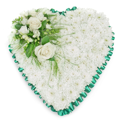 Set against a clean, white backdrop, this heart-shaped sympathy arrangement radiates quiet tenderness, the sort of tribute often chosen for services in and around Brent Cross. The heart's interior is completely carpeted with white chrysanthemums, their small, rounded flower heads placed closely together until they form a plush, cloud-like cushion. The texture is soft and uniform, with no gaps, and the pure white colouring suggests peace, innocence, and a gentle farewell. Enclosing this snowy surface is a deep green satin ribbon, pleated into tidy, overlapping folds that create a slightly ruffled, scalloped frame. The ribbon's rich emerald hue and subtle shine provide a beautiful contrast to the matte petals, crisply defining the heart's outline, much like a carefully framed keepsake photograph. In the upper left section, a thoughtfully arranged floral spray adds a focal point. Two full, creamy white roses open gracefully at the centre, their layered petals unfurling in soft spirals that symbolise unconditional love and gratitude. Around them, smaller white flowers-probably freesias or similar dainty blooms-offer a lighter, more intricate texture, some blossoms fully open while others remain as tight buds, hinting at the unfolding of memories and stories. These are interwoven with greenery in varying shapes and tones, from broad, glossy leaves to delicate, feathery fronds that arc gently over the chrysanthemums below. A few of these fern-like strands extend outwards, softening the transition between the cluster and the cushion base. The overall effect is calm, respectful, and deeply heartfelt, making this heart-shaped tribute a fitting choice for expressing sympathy and support to families in Brent Cross, whether delivered to a local funeral home, crematorium, or place of worship.