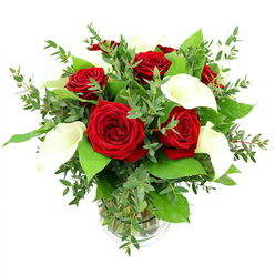 In this image, a rounded arrangement of red roses and white calla lilies rises from a clear glass vase, set before a pure white background that emphasizes its elegant simplicity. The roses are the first to catch the eye, around six or seven large blooms fully open and rich in colour, their velvety petals layered tightly into spirals of intense crimson that suggest depth and warmth. Interspersed with them, several calla lilies lift their sculpted, trumpet-shaped flowers, each spathe a creamy white with a smooth, wax-like finish that contrasts beautifully with the soft texture of the roses. At the centre of each lily, a narrow yellow spadix adds a refined dash of colour, like a candle glowing quietly. The bouquet is further filled out with abundant green foliage: eucalyptus stems with small, rounded leaves in a cool, silvery-green weave through the design, offering a feathery lightness, while more substantial, dark emerald leaves create a structured, polished base that shapes the bouquet into a full, harmonious dome. The cylindrical vase reveals the straight green stems gathered neatly in clear water, and a subtle ribbed feature at the base of the glass hints at understated craftsmanship. The lighting is bright and even, highlighting the richness of the reds, the purity of the whites, and the varied greens without any distraction, conveying a tranquil yet celebratory mood. This is the type of bouquet that feels perfect for expressing affection across Brent Cross-perhaps delivered as a surprise to a home near Brent Cross Underground station, set on a dining table in Golders Green, or brought as a romantic gift to a hotel along the A41.