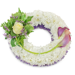 An elegant, hand-crafted wreath composed primarily of countless white chrysanthemums forms a plush, circular base that symbolizes peace and remembrance. The individual white florets are closely arranged to create a cloud-like texture that absorbs soft morning light and imparts a gentle calm. Underneath this white surface, a delicate layer of purple mesh or netting is visible along the inner circumference, producing depth and a refined hint of colour that complements the floral accents. On the top-left quarter, a carefully placed cluster centers on a single, perfectly formed cream rose that unfurls with whisper-soft petals; it is set into a nest of variegated green leaves and airy fern fronds that add natural contrast and tactile variety. Interspersed among the foliage are slim sprays of lavender-purple statice, their tiny clustered florets contributing a papery texture and a subdued violet note. Balanced on the right-hand side, sweeping from about two o'clock to five o'clock, are two sculptural calla lilies with long, arching stems; their blooms display a harmonious gradient from deep purple at the edges to a soft peach-pink blush toward the throat, the vibrant green stems woven gently into the chrysanthemum base. A single longer stem from the left cluster crosses the lower wreath and leads the eye to the callas, reinforcing the thoughtful composition. Presented against a bright white backdrop, this wreath - crafted with the calm expertise of Brent Cross Flowers for local services from Cricklewood to Golders Green - reads as a respectful, comforting expression of remembrance and lasting love.