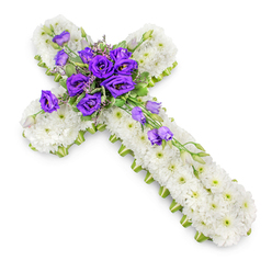 A beautifully composed funeral flower cross is shown laid on a bright white background, the lighting gentle and even to emphasise texture rather than drama. The full span of the Christian cross is densely padded with small white chrysanthemums, each bloom fresh and crisp, their petals overlapping to form a continuous, plush surface that feels soothing to the eye. The miniature green centres of the flowers dot the cross with soft hints of colour, keeping the design lively while retaining an overall sense of purity and peace. Along the perimeter of the cross, a slim lime-green ribbon runs smoothly, its satin edge catching just a touch of light as it defines the silhouette and gives the arrangement a polished, professional finish. At the midpoint where the vertical and horizontal arms meet, a rich cluster of purple lisianthus (eustoma) blooms creates a striking focal point. Their bell-shaped flowers, with gently ruffled petals in layers of deep violet and softer purple tones, stand out dramatically against the white chrysanthemum base. Nestled among them are tender sprigs of greenery and delicate filler blossoms, adding depth, texture, and a natural, garden-like balance to the design. From this central spray, several lisianthus stems continue downwards and slightly to the right, carrying open blooms and closed buds that form a graceful, diagonal cascade. The faint shadow beneath the cross provides dimension while preserving the peaceful, contemplative mood. This is the type of elegant floral tribute Brent Cross Flowers might prepare for local families saying farewell at Golders Green Crematorium or a nearby synagogue or church, offering a gentle yet expressive symbol of comfort, respect, and enduring love.