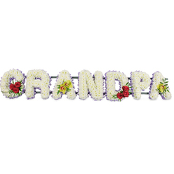 The image shows a refined floral tribute spelling out GRANDPA in large, upright capitals, laid out in a continuous line against a plain white background so every letter is clearly visible. Each letter is composed of tightly packed white chrysanthemums, their small, overlapping petals creating a lush, padded surface that feels both soft and reverent. Around the outer edge, a narrow band of lavender-purple ribbon traces the outline, adding a subtle wash of colour and giving definition so the word can be easily read from across a church or crematorium hall in the Brent Cross area. Against this calm backdrop, thoughtfully chosen blooms provide colour and symbolism. In the curve of the G, a group of deep red roses is tucked into the chrysanthemums, framed by fresh green foliage; their rich hue and velvety texture speak of deep affection and the strength of family bonds. The letter D carries a matching cluster of red roses, echoing that sentiment and bringing a visual balance to the composition. The first and last A are accented with bright yellow-green orchids, some with delicate reddish markings, giving a touch of elegance and individuality to the tribute. A hidden frame and cross-bars support the letters from behind, ensuring the word remains stable and aligned when positioned near the coffin or at the front of the service. Crafted with the care of a local Brent Cross florist, this arrangement conveys a heartfelt message of love, remembrance, and gratitude for a beloved grandfather.