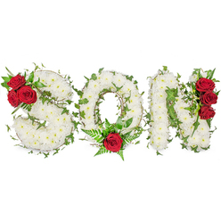 Crafted to read clearly and lovingly from a distance, this funeral tribute spells 'SON' in large capital letters made up of hundreds of tiny white spray chrysanthemums, their rounded petals packed into a seamless white surface that feels both soft to the eye and formally composed. Bright green ivy threads through the arrangement, its glossy leaves adding lively veins of colour that follow the contours of each letter and introduce a sense of organic movement. To give the design emotional punctuation, rich deep-red roses are placed with purpose: three full blooms nestle into the upper left curve of the 'S', a single striking rose sits at the bottom centre of the 'O' surrounded by delicate fern fronds, and a trio of red roses climbs vertically along the right side of the 'N'. The roses' velvety texture and saturated hue stand out dramatically against the serene white, offering a visual language of passionate remembrance. The overall scent is gentle and comforting - soft chrysanthemum top notes with a background of warm rose - and the arrangement is lit to read clearly on a bright white backdrop, emphasising the crisp craftsmanship. As a local florist serving Brent Cross, Cricklewood and nearby Hendon, Brent Cross Flowers often prepares pieces like this for services at local churches or crematoria; we can advise on size and delivery so the tribute arrives ready to place at a graveside or memorial table. The combination of purity, evergreen ivy and red roses makes this an especially poignant choice to honour a son and to communicate deep sympathy and enduring affection.