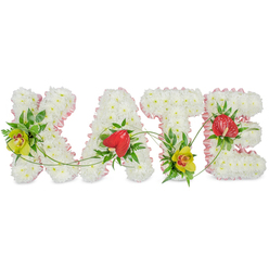 Spelling out KATE in large floral capitals, this funeral tribute rests on a bright white background that highlights every nuance of colour and texture. Each letter is constructed from tightly clustered white chrysanthemums, so densely arranged that they form solid, pillow-like shapes, their soft petals suggesting purity, comfort, and quiet dignity. A narrow band of light blush-pink ribbon outlines every letter, gathered into a slight frill that gives a gentle, almost lace-like edge, softening the design and adding a graceful feminine accent. Carefully placed bursts of colour bring the tribute its character. On the K and T, lime-green cymbidium orchids with warm reddish throats nestle amongst rich, dark green leaves and airy ferns, their tropical beauty offsetting the calm white chrysanthemum base. The A and the E are each adorned with a single glossy red anthurium, its heart-shaped form and waxy shine evoking deep affection and courage in the face of loss. Slender trails of green vine sweep across and between the letters, linking them visually and suggesting the enduring bonds between loved ones. The overall impression is one of quiet elegance and deeply felt care, the sort of custom floral name tribute a family in Brent Cross might choose for a funeral, crematorium service, or celebration of life near the shopping centre, Hendon Way, or the surrounding residential streets. It feels like a thoughtful creation from Brent Cross Flowers, crafted to honour someone named Kate with a uniquely personal, beautifully balanced final gesture.