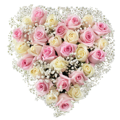 A touch of elegance and peace emanates from this handcrafted heart-shaped floral arrangement, masterfully composed by experienced florists near Brent Cross. Around thirty-five roses in harmonious shades of blush pink and buttery cream form the core of the heart. Each bloom unfurls in delicate succession, showing off smooth, velvety petals-the kind you might spot during a quiet walk through Brent Cross's green spaces. Wispy sprays of baby's breath meander among the roses, their tiny, star-like white blossoms weaving through the composition to create a luminous, cloud-like texture. The heart is presented against a spotless white background, the gentle colours radiating comfort and thoughtful sentiment. Every rose is positioned with care, the palette evoking romance, remembrance, and a profound sense of appreciation-ideal for tributes, anniversary gestures, and special Brent Cross celebrations. Subtle light accentuates the soft gradients of colour, recalling peaceful afternoons along Brent Cross's tree-lined streets. This arrangement, crafted for both beauty and meaning, brings enduring love, compassion, and a touch of Brent Cross's unique spirit into every local home or ceremony, making it a cherished option for expressing sympathy or heartfelt emotion through flowers.