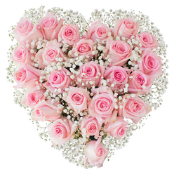 Imagine leaning in to this heart of blooms and feeling the cool, velvety touch of pink rose petals arranged in a dense, symmetrical embrace. The composition reads as a single soft object - dozens of roses in shades from barely-there blush to a warmer pink, each blossom at a slightly different stage so the surface shimmers with unfurling spirals and curled edges. Interspersed among them, delicate sprays of white baby's breath float like miniature clouds, their tiny star-shaped flowers adding a fine, airy texture that brightens the overall palette and defines the heart against the clean white background. The lighting is crisp and gentle, revealing the subtle gradations of colour and the satiny sheen of petal surfaces while evoking the quiet stillness of early morning light. One can almost sense the fresh, herbal-rose scent and the coolness of stems freshly trimmed in a florist's hands. This arrangement carries an intimate, contemplative mood - a soft confession of love or a tender tribute for a memorial service - and it demonstrates the kind of careful workmanship you expect from an experienced florist who understands emotional nuance. Locally, it feels right for the small, meaningful moments that happen around Brent Cross: an anniversary gift delivered after a walk through nearby parks, a heartfelt offering sent to a neighbour on Claremont Road, or a wedding accent chosen for its classic romance. The piece is both an object of visual delight and an invitation to touch memory, emblematic of devotion rendered in petals and lace-like gypsophila.