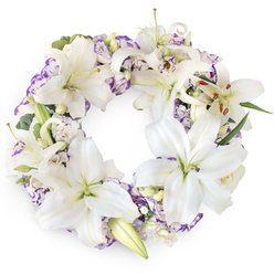A beautifully detailed circular sympathy wreath is shown from above, its rich arrangement of white and purple blooms set against a clean white background like a painting on a blank canvas. The wreath is generously composed of large white Oriental lilies, whose broad, velvety petals fan outward in layered arcs. Many of the lilies are captured at their most impressive stage of bloom, with their centres wide open to reveal greenish throats and slender filaments tipped with deep brown anthers, offering a subtle contrast in colour and texture. Tucked between these statement flowers are clusters of lisianthus, identifiable by their softer, frilled petals. These blossoms appear mostly white but are enriched with delicate lavender and violet edging, as though each petal has been lightly traced with a fine brush. This interplay of white and purple continues around the circle, giving the wreath a sense of gentle rhythm and movement. Beneath the flowers, muted green foliage acts as a discreet frame, with thin leaves and eucalyptus-like sprigs occasionally visible, adding depth without crowding the blooms. The result is a balanced, soothing composition that conveys purity, peace, and respectful remembrance. One can imagine this wreath from Brent Cross Flowers displayed on an easel at a crematorium near Brent Cross, by the entrance to a synagogue or church, or beside a memory table at a wake. The design's calm palette and refined structure invite contemplation, making it a fitting floral tribute for families in the Brent Cross and Hendon area who wish to express their sympathy with grace and sincerity.
