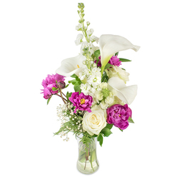This elegantly balanced arrangement opens like a small story: sleek white calla lilies provide a cool, sculptural spine, their smooth trumpets reflecting the clear studio light and drawing the eye upward. Interspersed among them are opulent magenta peonies whose plush, ruffled petals deliver warmth and depth; two large peonies bloom boldly in the foreground while a compact bud promises a later flourish. A creamy white rose sits toward the base, its compact, layered petals offering serenity and refinement against the peonies' drama. Tall white stock-appearing as delicate spires of clustered blossoms-adds vertical rhythm and a fragrant, old-fashioned softness that blends with the faint honeyed scent of the peonies. Baby's breath is woven through the bouquet like a soft veil, introducing an ethereal texture that separates and lifts each focal flower. Lush green foliage, from narrow fern-like fronds to broader leaves, forms a verdant counterpoint that accentuates the whites and deep magentas. All stems are arranged in a gently curved clear glass vase; the visible stems and water capture a sense of freshness and honesty in the design. The arrangement feels celebratory yet composed-appropriate for milestone birthdays, elegant table centrepieces, or a thoughtful delivery to a neighbour in Cricklewood or Hendon. As a local florist's composition, it balances modern lines and garden romance, suggesting both quiet sophistication and affectionate intent.