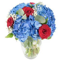 A lush, composed bouquet restfully occupies a clear glass vase, set against a pristine white field of light that accentuates colour and texture: broad, billowy clusters of vibrant blue hydrangea dominate the ensemble, their masses producing a soft, cloud-like silhouette in saturated sky tones. Threaded among these cushions of blue are three sumptuous red roses, their velvety petals tightly layered and providing bold, romantic contrast that commands the gaze. Tiny cloudlets of white baby's breath float through the bouquet, creating delicate points of visual air that soften the transitions between bloom and leaf. Muted, round eucalyptus leaves - cool sage-green with a subtle silver bloom - add architectural rhythm and a dry, calming scent that complements the sweeter rose perfume. The vase, transparent and gently curved, shows the green stems submerged in water, which glints in the light and confirms the flowers' freshness. The overall impression is celebratory and composed with contemporary restraint: poised as a centrepiece on a sunlit table in a Brent Cross flat, carried into a neighbour's housewarming, or placed at a small anniversary dinner close to the Shopping Centre. The bouquet's interplay of soft petals, crisp foliage and airy filler reads as both generous and refined, offering tactile pleasure and a mild, pleasant fragrance - the kind of arrangement a local florist would recommend when you want a statement that feels intimate rather than extravagant.