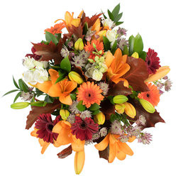 A richly layered, overhead view of a hand-tied autumn bouquet, photographed on a pure white backdrop so each blossom and leaf reads with crystalline clarity. The composition is centred on several large, orange Asiatic lilies whose broad, trumpet-like petals open confidently, their surfaces catching the bright studio light and suggesting a delicate, honeyed fragrance. Around them, vivid Gerbera daisies in bright pumpkin orange and deep burgundy provide joyful counterpoints-their perfect circular petal rays creating a lively rhythm across the arrangement. Soft, ivory lisianthus blooms nestle into the gaps, their gently ruffled petals offering moments of quiet and creamy contrast against the bolder tones. Delicate, starry clusters of Astrantia in subtle purple and lavender act as airy, textural filler that lends intricacy without crowding the composition. Numerous verdant lily buds-pale green tipped with a breath of orange-add depth and a sense of unfolding life, while slender leafy stems and fresh greenery support the bouquet's rounded silhouette. Prominent, deeply lobed leaves in reddish-brown and chestnut are placed as autumnal punctuation, visually echoing fallen leaves one might find beneath the plane trees in nearby Hendon Park or along Brent Terrace. The arrangement reads as both festive and grounding, perfect for harvest-season centrepieces, cosy dinner parties, or a heartfelt seasonal gift. Brightly lit and impeccably arranged, this bouquet suggests the calm satisfaction of a florist's craft and the comforting palette of an English autumn in Brent Cross and its surrounding streets.