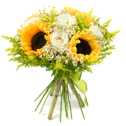 A joyful sunflower and rose bouquet is shown in full focus against an uncluttered white backdrop, allowing its warm yellows, soft whites, and fresh greens to tell the story. Three prominent sunflowers draw the eye first, each with a broad ring of golden-yellow petals surrounding a dark, textured centre that appears almost velvety, lending the arrangement a sense of richness and earthiness. Nestled around them, buttery white roses unfold in layered spirals, some tightly budded and others more open, injecting a refined, romantic note that pairs beautifully with the sunflowers' rustic energy. Scattered through the bouquet are small white daisy-like flowers with bright yellow centres; these petite blossoms lighten the overall effect, adding a touch of whimsy that recalls countryside hedgerows beyond the streets of Brent Cross. A generous mist of chartreuse-green filler foliage-similar to solidago-forms the bouquet's soft outer edge, its fine stems and innumerable tiny buds creating movement and depth, as if the flowers have been caught in a gentle breeze near the local parks. All the stems gather cleanly at the bottom in a compact bundle, bound by a lime-green ribbon that both secures and decorates, echoing the vivid foliage above. The resulting composition feels modern yet natural, with a rounded silhouette that suggests fullness without being overly formal. This bouquet exudes optimism and easy cheer, perfect for same-day delivery from Brent Cross Flowers to celebrate exam results, welcome someone into a new home, or simply brighten a living room with the feeling of a sunlit summer's day, even when North London skies are grey.
