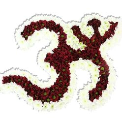 There is a deliberate tenderness to this Om-shaped floral installation: against a clean white background the symbol is painstakingly filled with dense clusters of deep maroon and dark red chrysanthemum-type blooms, their tiny lime-green centers punctuating the dark surface like distant hearths of colour. Each curve-the rounded '3' base, the flowing downward stroke and the high crescent with its bindu-feels hand-sculpted, petals pressed close enough to suggest a soft, velvety relief you can almost feel on your palm. Encircling and defining the form is a thick, undulating frame of immaculate white spray chrysanthemums; their delicate faces create a crisp contrast that makes the Om read as both sacred sign and luminous object. In softer light the arrangement gives off a subdued, earthy perfume, a consolation-like scent that matches its visual gravity. A faint shadow beneath it lends depth and weight, reinforcing the sense of a ceremonial emblem meant to sit prominently on a shrine or the centre of a remembrance gathering. As a local florist who often designs for spiritual events near Brent Cross Shopping Centre and the community halls around Hendon and Cricklewood, I see this piece as well suited to memorial services, pujas, or mindful gatherings-an offering that speaks of heritage, peace and meticulous craftsmanship without fanfare. The overall mood is reverent, quietly powerful, and intimate.