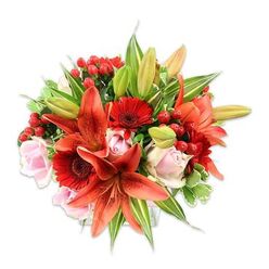 Presented against a clean white field, this opulent hand-tied bouquet reads like an artist's study in reds, oranges and soft pinks. Dominant orange-red Asiatic lilies create a dramatic focal point with their broad petals and subtle freckling; a few unopened lily buds add the suggestion of time and unfolding. Nestled beside them, intense crimson gerbera daisies provide sculptural, sunburst shapes and deep centers that anchor the eye. Interwoven are pale pink roses, from tight spirals to gently unfurling blossoms, their creamy blush offering a calming, romantic rhythm between the warmer tones. Bright red hypericum berries are threaded through the arrangement, gleaming like small ornaments and giving the bouquet a festive, tactile quality. The foliage is deliberately generous - long, linear lily leaves, broad glossy greens and touches of variegated foliage with soft green and white streaks - creating contrast and a sustained, verdant backdrop. Light plays softly across the surfaces: a dewy sheen on rose petals, the satiny nap of gerbera, the papery strength of lily blooms and the waxy glow of berries. Sensory details are clear even without sight: a warm, slightly spicy lily perfume mingles with the fresh, green scent of cut foliage. As a local design, this arrangement suits celebrations across Brent Cross and neighbouring Golders Green or West Hendon, bringing theatre and tenderness to a mantlepiece or dining table. It reads as both contemporary and timeless - a thoughtful gift that feels carefully composed and immediately uplifting.