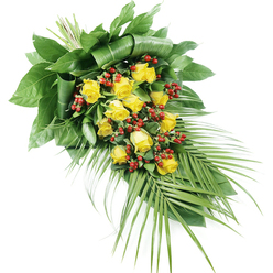 This photograph captures a carefully crafted funeral spray of yellow roses and red berries, set against a clean white background to showcase every nuance of the design. The arrangement begins with a generous gathering of yellow roses at its centre, approximately fifteen to twenty blooms, each one positioned so its petals form a gentle spiral. Some roses are still forming tight buds, while others have opened more fully, revealing soft, layered centres that suggest tenderness and affection. Woven between the roses are clusters of rounded red Hypericum berries, their rich, berry-red tones bringing depth and contrast to the composition. Encircling these elements is a mixture of lush green foliage. At the top left, broad, dark leaves are folded and layered in a structured manner, providing a firm base that supports the flowers and gives the spray a sense of intention and craftsmanship. Towards the right-hand side, longer, slender palm fronds extend gracefully, their fine, pointed leaflets creating a flowing line that leads the gaze across the piece. The overall silhouette is tapered and elongated, perfect for resting on a coffin or memorial stand at a service near Brent Cross, Hendon, or along the North Circular. The stems are bound neatly, ensuring the spray lies flat, with no stray leaves or stems to distract from the design. The colour palette of sunny yellow, deep red, and rich green, under soft, neutral lighting, creates a feeling of balance and calm, making this arrangement a thoughtful way to honour a loved one and share a message of comfort with family and friends.