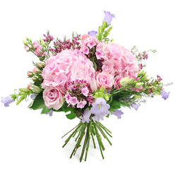 This bouquet, photographed against a bright white backdrop, feels like a soft exhale of early summer drifting through a Brent Cross apartment. Two generous heads of blush pink hydrangea form the central focus, each rounded cluster packed with tiny, folded petals that create a velvety, almost cushion-like texture. Around them, pale pink roses are tucked with care: some fully open to reveal layered spirals of petals, others still in tight, elegant buds that promise to open over the next few days on a coffee table near the shopping centre or along the tree-lined streets towards Hendon. From the depths of the bouquet, airy stems of bell-shaped, pastel lavender blooms - reminiscent of campanula or bellflowers - rise and curve, adding a sense of movement and gentle height. Sprinkled throughout are small clusters of deeper fuchsia and rich pink filler flowers, which add little bursts of intensity and intricate texture, like melodic notes threading through a calm song. Fresh green foliage frames and supports every blossom, from broader leaves that cradle the hydrangeas to slender, budding stems that give the design a naturally gathered, garden-fresh feel. The stems at the base are clearly visible and bound neatly, indicating a hand-tied bouquet ready to be placed straight into a favourite vase after delivery from Brent Cross Flowers. Overall, the arrangement conveys a quiet, romantic joy, perfect for celebrating an engagement, marking a special birthday, or sending a gentle message of appreciation to someone living or working near Brent Cross and the neighbouring North London areas.