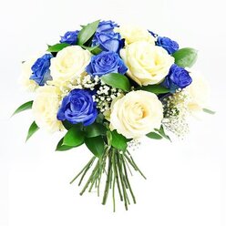 In this image, a carefully composed sympathy bouquet of blue and cream roses sits centered against a clear white background, making every bloom and leaf easy to distinguish. The arrangement is domed and smooth, resembling a perfect sphere of petals, with rich royal-blue roses thoughtfully interspersed among classic cream roses so that the colours alternate in a calming rhythm. Each blue rose has layers of velvety petals that curve inward and outward in soft waves, while the cream roses open more gently, their lighter tones bringing a peaceful balance. Delicate sprigs of white baby's breath are scattered among the larger flowers, their tiny blossoms and fine stems creating a veil-like texture that softens the deep blues and adds an airy, almost weightless quality to the bouquet. Surrounding the mass of roses, dark, slightly glossy greenery offers depth and structure, similar to the leaves you might notice in well-kept gardens near Brent Cross or along the quieter side streets leading to the shopping centre. The stems are visible at the bottom, uniformly trimmed and bound together to show craftsmanship and readiness for placement in a vase or as a hand-delivered tribute for a funeral or condolence visit. Soft, diffused light illuminates the bouquet, revealing the natural curves of each petal and creating gentle shadows that add dimension without drama. Emotionally, the bouquet feels composed and reassuring, a modern yet timeless floral expression of sympathy suitable for families across Brent Cross who want to send a message of support, remembrance, and quiet care.